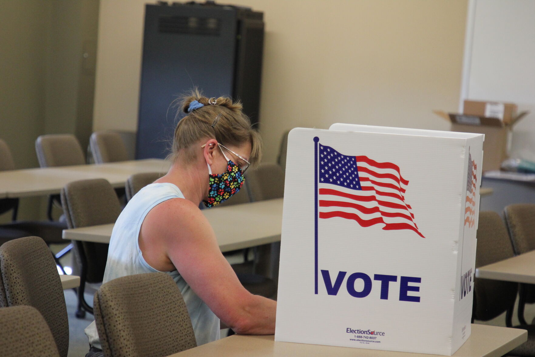 2020 Primary Election 3